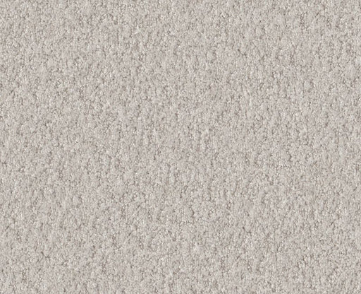 Showy Winters Dawn 00102