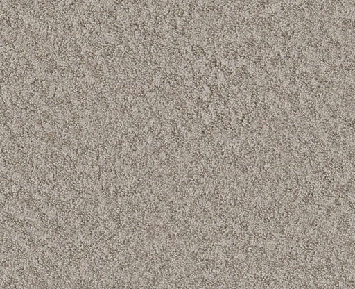 Showy Fossil Path 00108