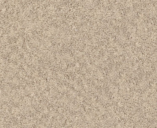 Showy Sun Kissed 00110