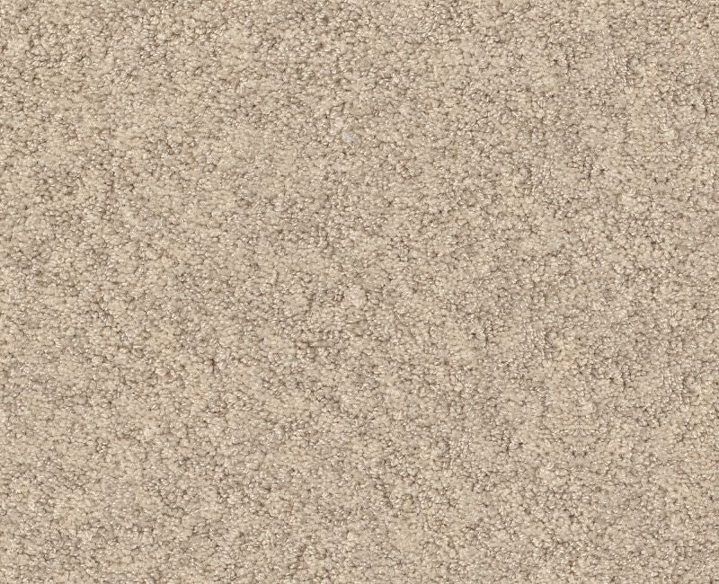 Showy Sun Kissed 00110