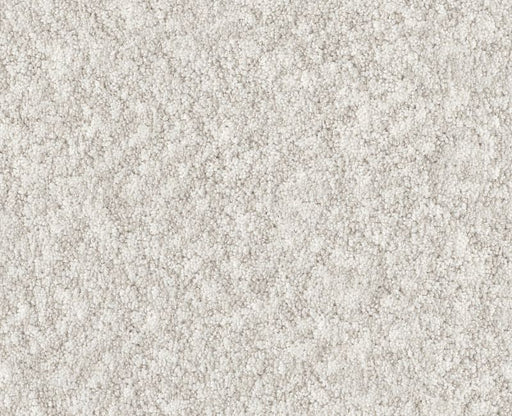 Showy Gallery Opening 00125