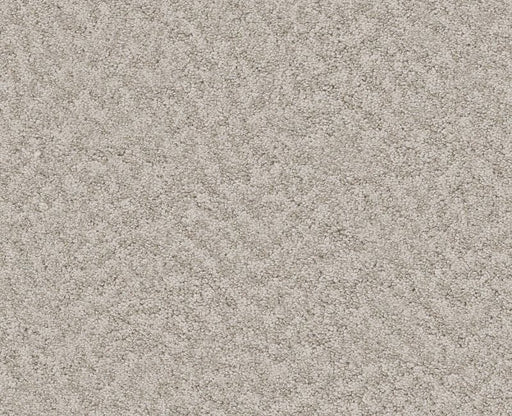 Showy Baltic Stone 00128
