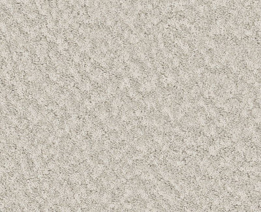 Showy Champagne Toast 00153