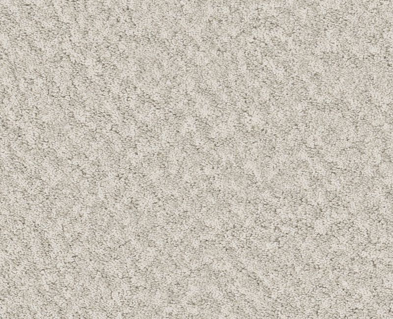 Showy Champagne Toast 00153