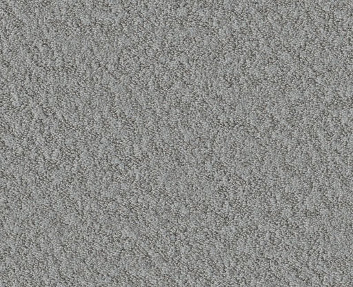 Showy Sentimental 00538