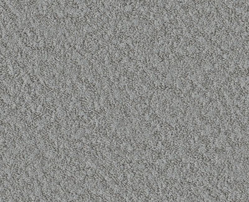 Showy Sentimental 00538