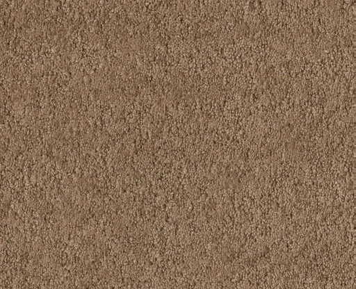 Showy Raw Wood 00720