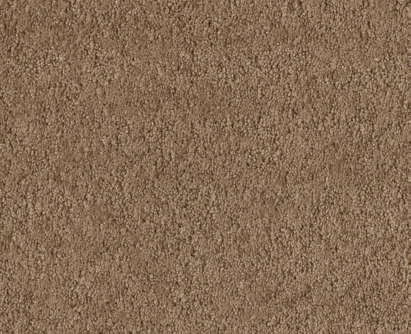 Showy Raw Wood 00720