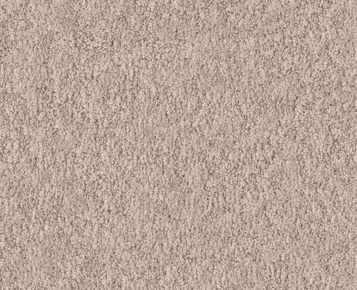 Showy Heirloom 00803