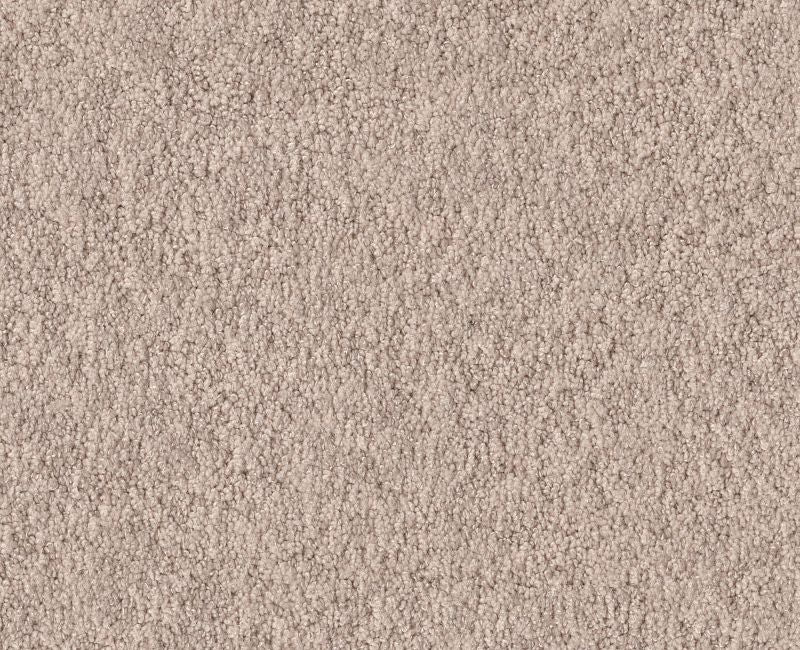 Showy Heirloom 00803