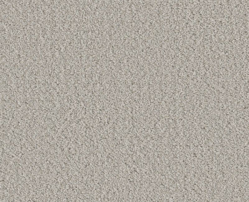 Rare Find Split Sediment 00104