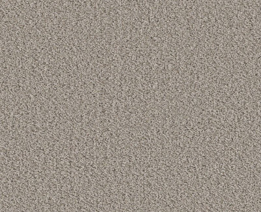 Rare Find Fossil Path 00108