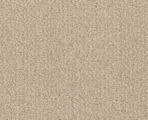 Rare Find Sun Kissed 00110