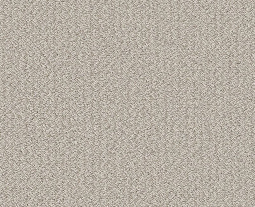 Rare Find Baltic Stone 00128