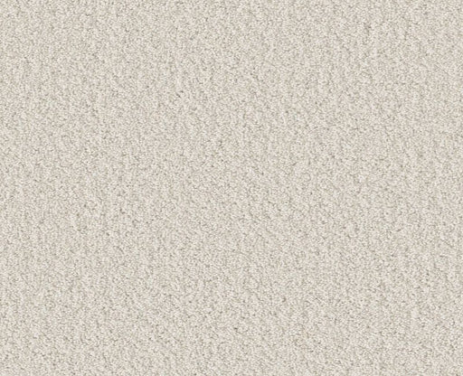 Rare Find Champagne Toast 00153