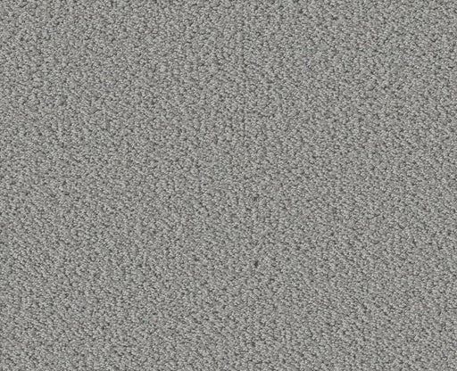 Rare Find Sentimental 00538