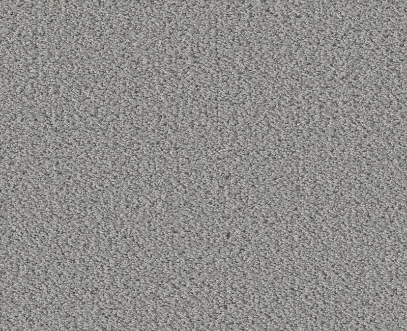 Rare Find Sentimental 00538