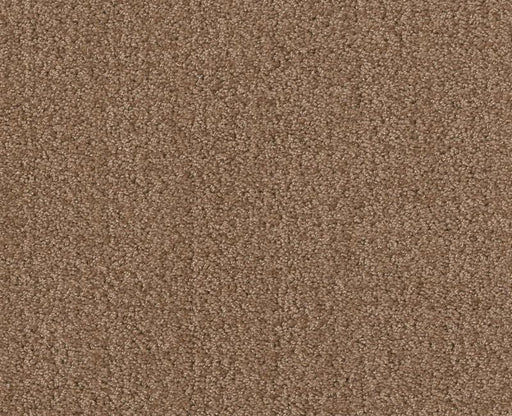 Rare Find Raw Wood 00720