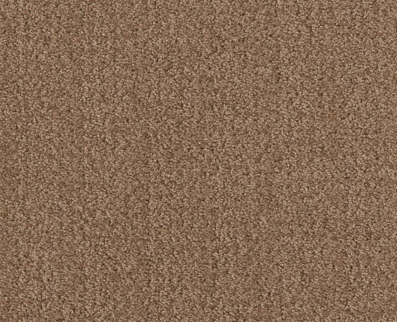 Rare Find Raw Wood 00720