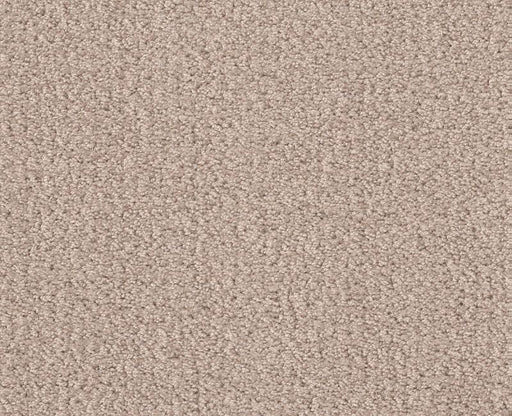 Rare Find Heirloom 00803