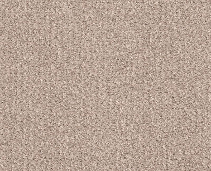 Rare Find Heirloom 00803