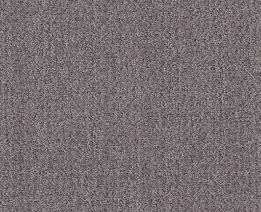 Rare Find Deep Connection 00902