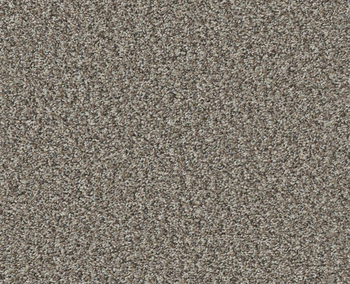 Bending The Rules I 15 Chic Greige 00111