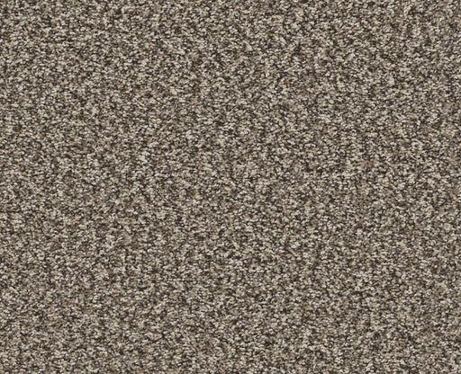 Bending The Rules I 12 Soft Sense 00112