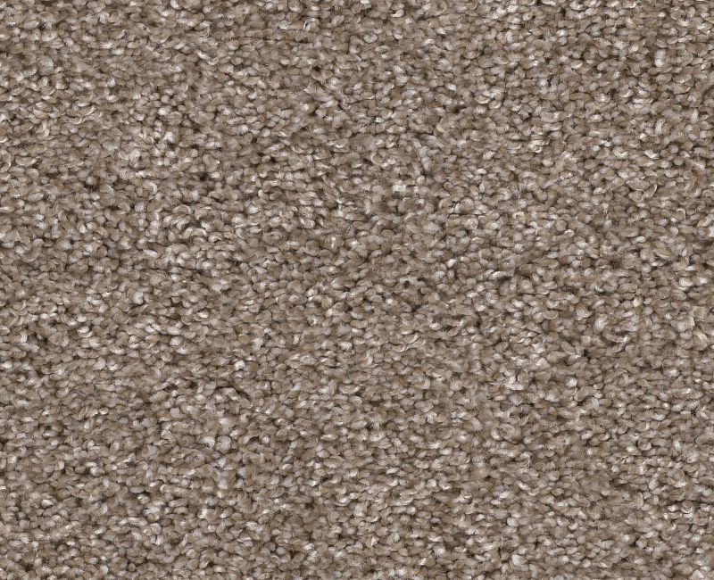 Bending The Rules I 15 Cameo 00113