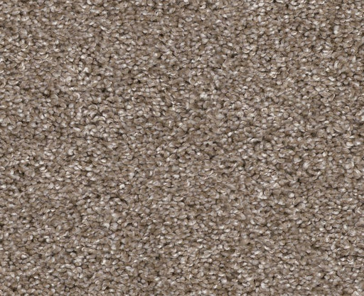 Bending The Rules III 12 Cameo 00113