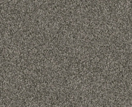 Bending The Rules I 12 Rerooted Nature 00300