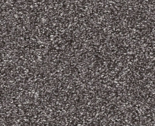 Bending The Rules III 12 Shadow 00502