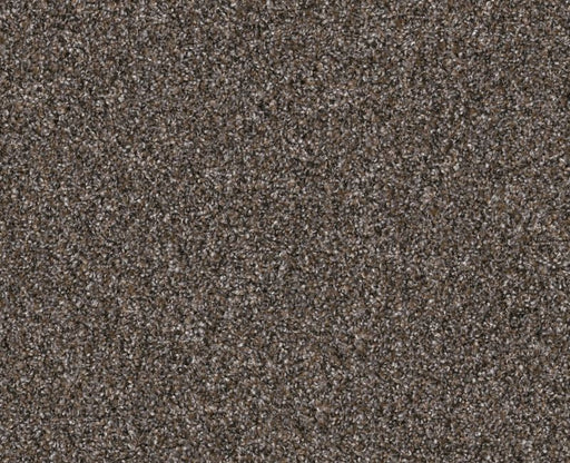 Bending The Rules II 15 Cafe Noir 00706