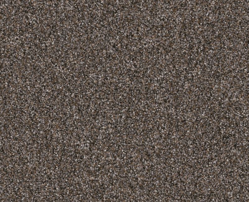 Bending The Rules II 15 Cafe Noir 00706