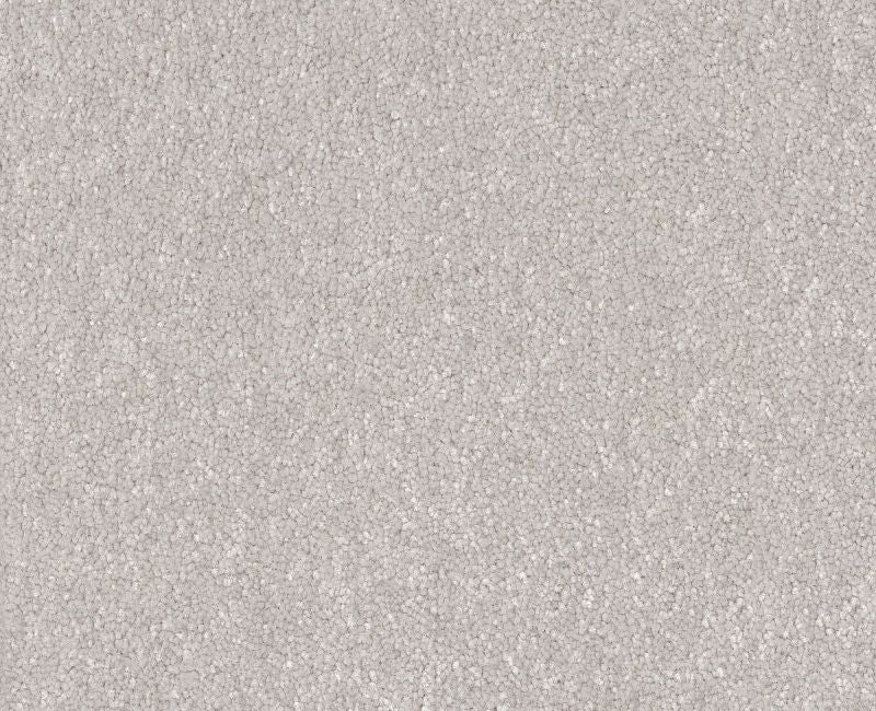 Off The Leash I 15 Frozen 00107