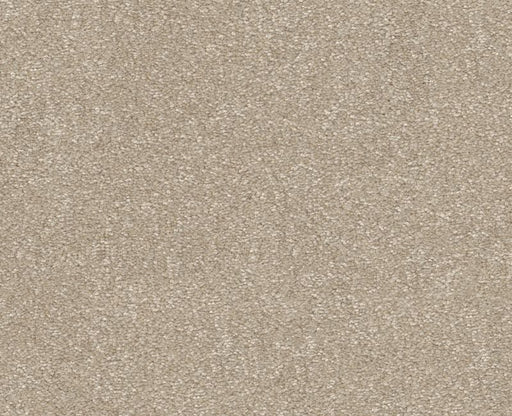 Off The Leash I 12 Natural 00109