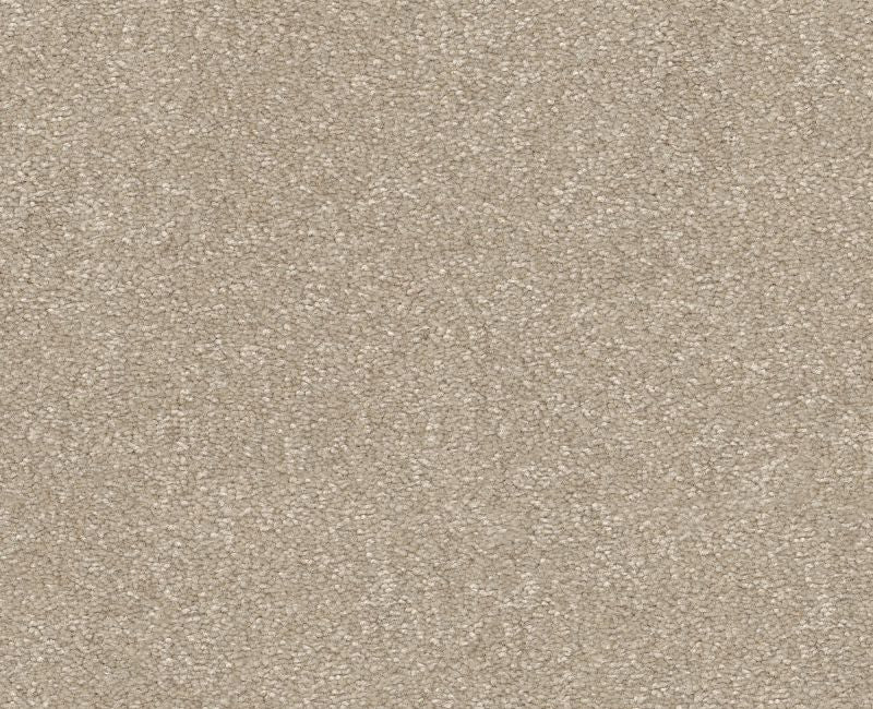 Off The Leash I 12 Natural 00109