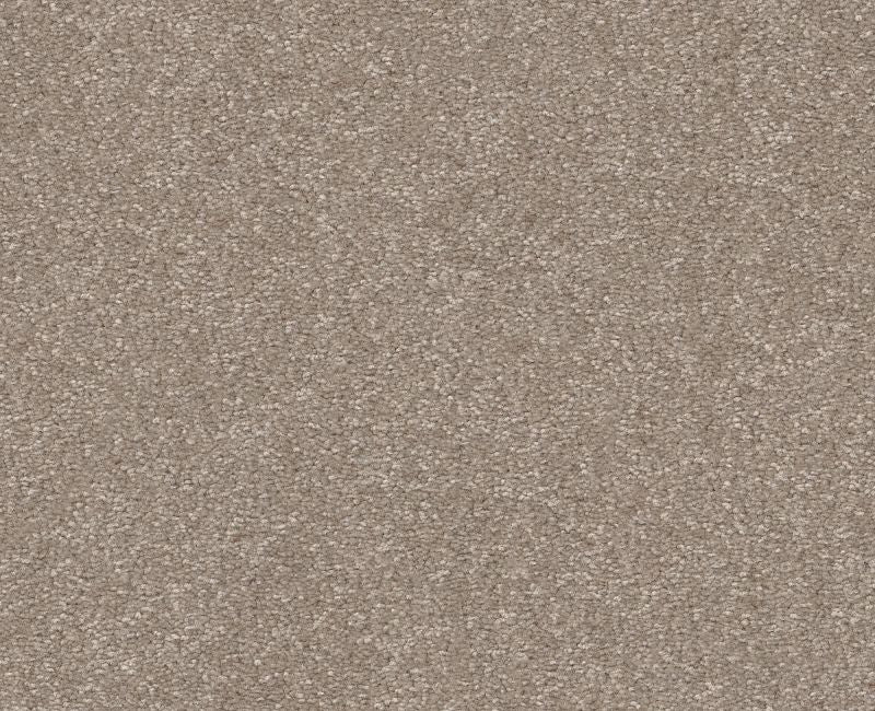 Off The Leash I 15 Glacier 00110