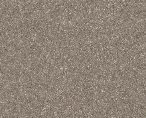 Off The Leash II 15 Chic Greige 00111