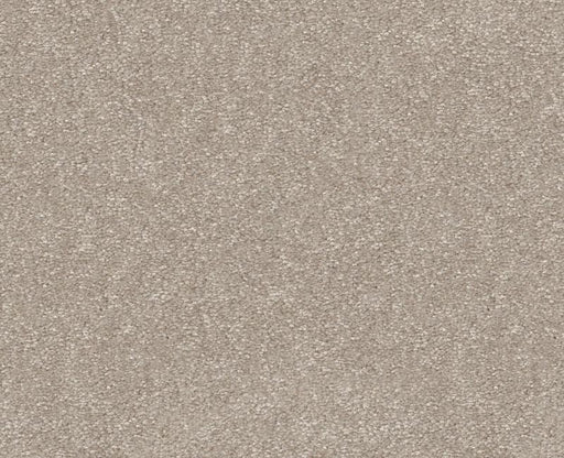 Off The Leash I 12 Soft Sense 00112