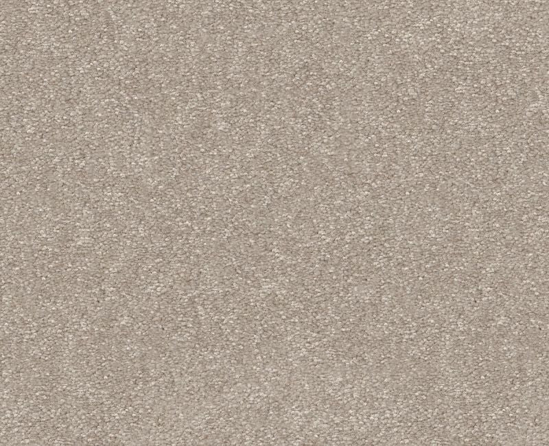 Off The Leash I 12 Soft Sense 00112