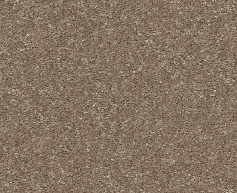 Off The Leash II 15 Cameo 00113