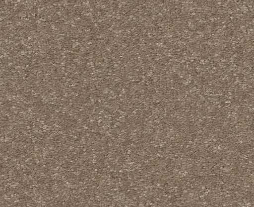 Off The Leash II 12 Cameo 00113