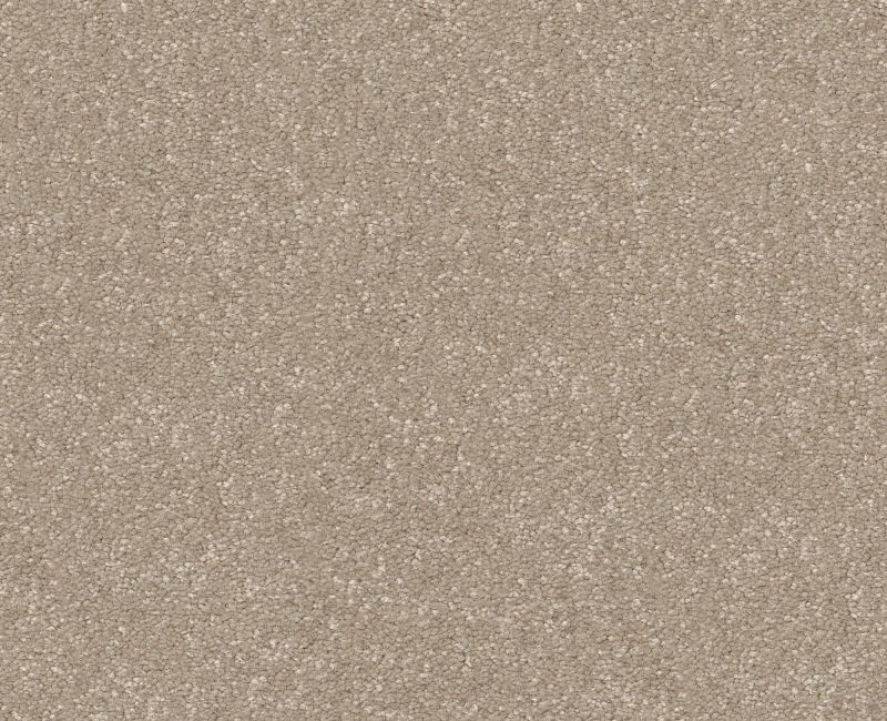 Shaw Off The Leash II 12 00114 Subtle Clay Carpet — Stone & Tile Shoppe ...