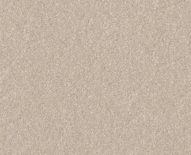 Off The Leash I 12 Warm Light 00116