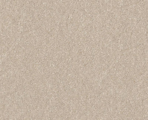 Off The Leash II 15 Warm Light 00116