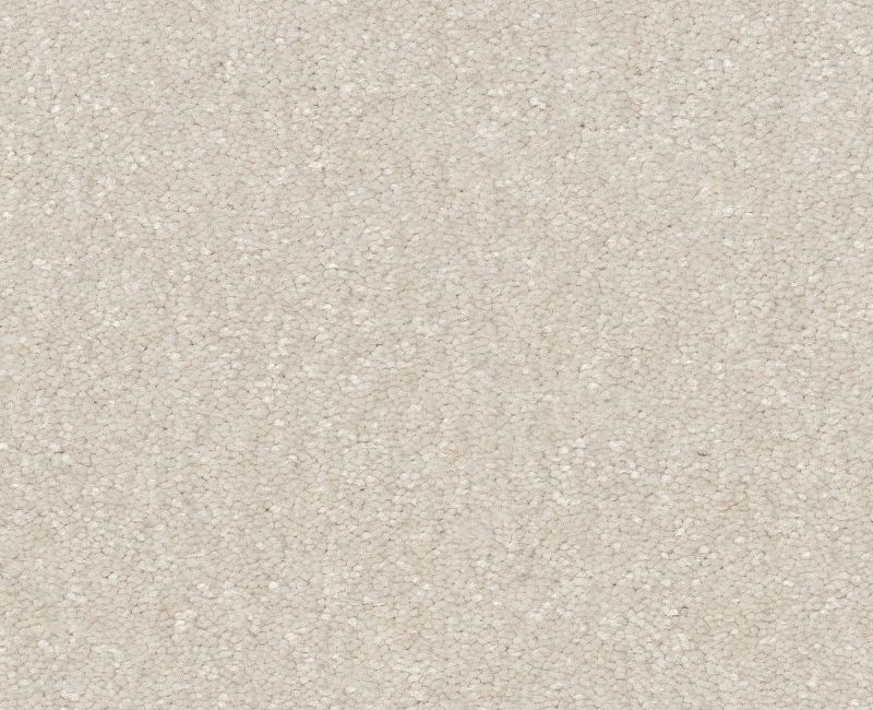 Off The Leash I 15 Snowfall 00150