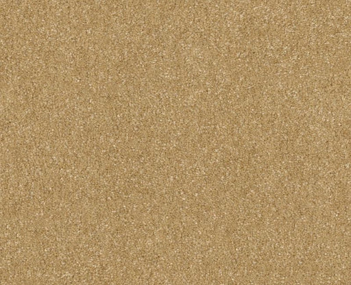 Off The Leash II 15 Honeycomb 00207