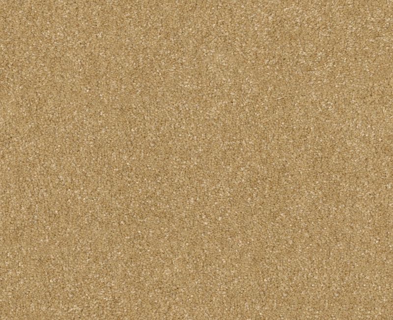 Off The Leash II 15 Honeycomb 00207