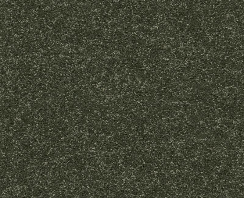 Off The Leash III 15 Rerooted Nature 00300